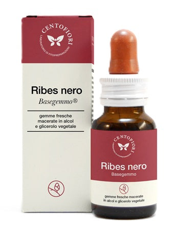 RIBES NERO BASEGEMMO 30ML