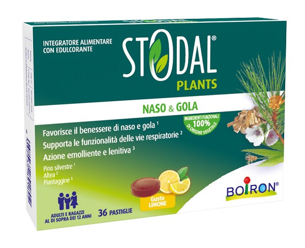 STODAL PLANTS LIMONE      36PAST