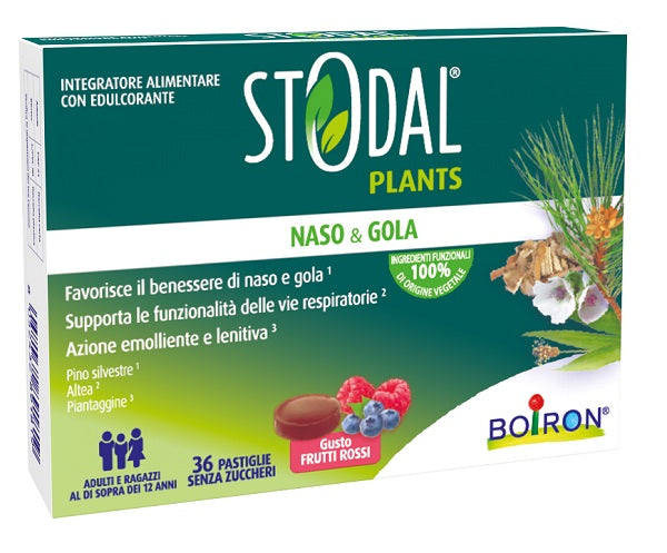 STODAL PLANTS FRUTTI ROSSI36PAST