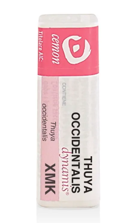 THUYA OCC MK GL
