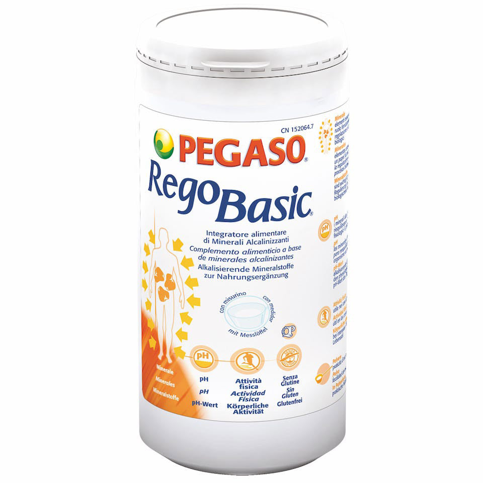 REGOBASIC POLVERE 250G
